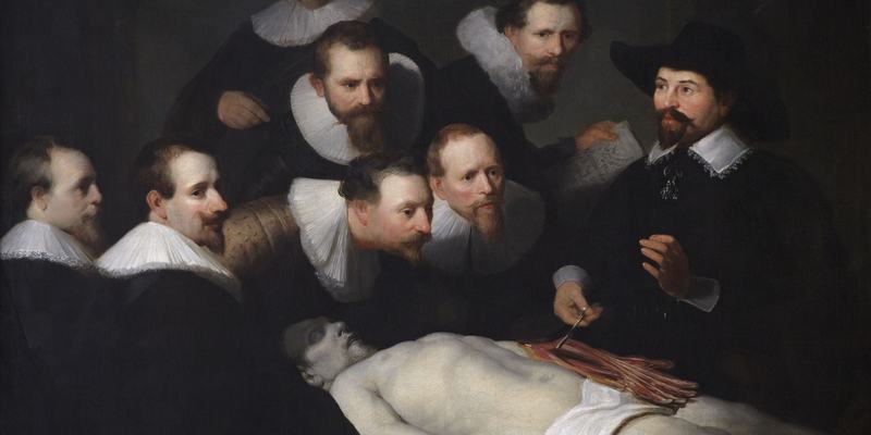 Leçon d'anatomie