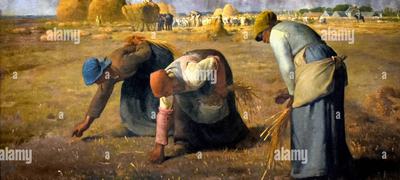 Glaneuse de millet